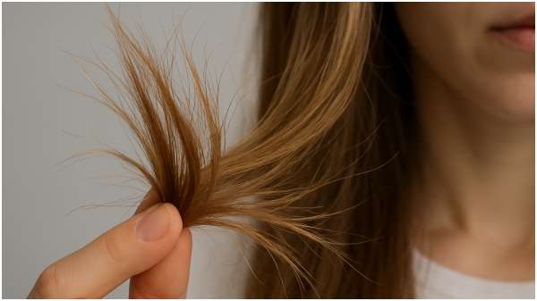 If you want to get rid of split hair, then apply this chemical free hair pack