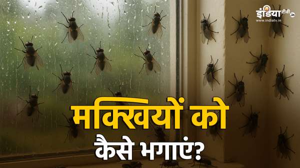 Flies entered the house in the rainy season, adopt these tricks to run away, to drive away